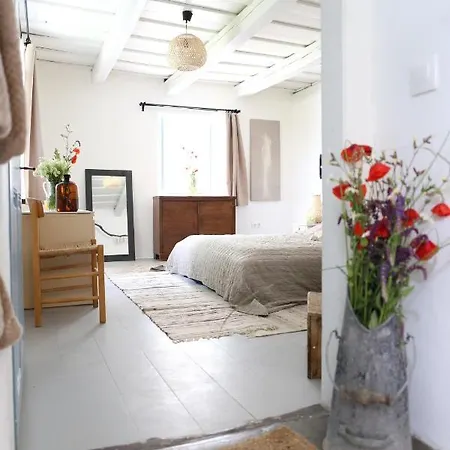 Dejavu Haz Szentantalfa